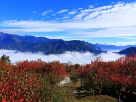 來場芬多精洗禮!國慶中秋連假,森林遊樂區免費&門票半價活動優惠