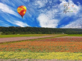 雙色花海搶先看!2020桃園花彩節繽紛綻放,免費熱氣球體驗同步登場!