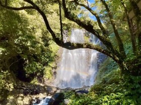 絕美仙氣！三峽【滿月圓國家森林遊樂區】，出發處女瀑布、滿月圓瀑布群！