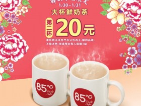 大杯鮮奶茶第二杯 20!85度C Hello Kitty、Melody 陶瓷杯夢幻販售!2021 春節禮盒兩盒 85 折一盒 500 內有找!