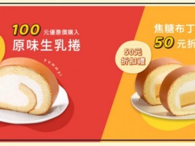 亞尼克 LINE 好友抽 100 元香濃原味生乳捲!YTM 官方限定再搭千萬條銷售優惠 4/5 前購買再省最高 534 元!