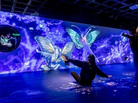 「故宮魔幻山水歷險」沉浸式劇場免費體驗!科技藝術共創超夢幻互動牆 一賞動態舞蝶光影情境!