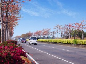 端午節90條公路客運享平日、85折優惠,搭台灣好行套票再享「四人同行一人免費」!