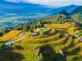 【2021金針花季開花啦！平地高山景點時間一次看】虎山巖/日月潭/知本/玉里193縣道賞花去，太麻里/六十石山/赤科山接續登場！