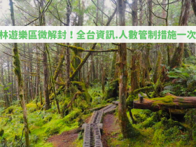 森林遊樂區微解封,全台人數管制措施一次看!善用行動支付,線上購票享免停車費優惠!合歡山/阿里山/大雪山/武陵/奧萬大/藤枝等有條件開放!