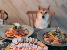 16間台北寵物友善餐廳:可包廂、自由活動、供寵物餐水、攝影美容帶你看!