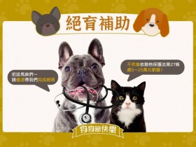 2021全台犬貓免費絕育、寵物登記、狂犬病預防注射補助一次看！