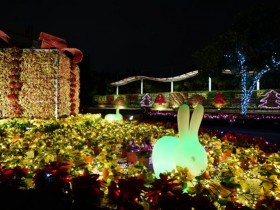 「2021公館聖誕季」台北聖誕景點+1!千株聖誕紅花牆、音樂會免費入場,踩點商家再抽好禮