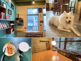 【樓梯好陡SteepStairs】老屋.狐狸犬.咖啡廳,循大稻埕舊跡走訪台北狗狗餐廳