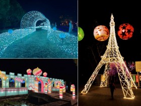 彰化燈會「2022月影燈季」好美!必看絢爛燈區、停車場資訊帶你了解