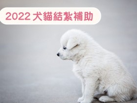 【2022全台犬貓結紮補助】免費絕育/寵物登記/狂犬病疫苗申請及注意事項一次看