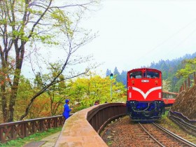 【阿里山小火車】2022時刻表/訂票攻略！支線/本線/主題列車一次看！