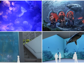 【基隆潮境智能海洋館】門票/預約資訊/展區特色搶先看!