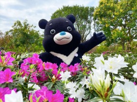 【2022台北杜鵑花季】美食5折起!大安森林公園賞花地圖/優惠活動一篇掌握