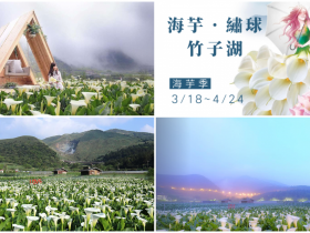 【竹子湖海芋季】2022花季時間/花況/海芋步道/行程/交通管制一次看!