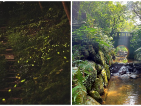 【2022台北螢火蟲】時間地點/免費導覽資訊!虎山/指南溪賞螢去!