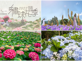 【2022桃園繡球花季】景點地圖/交通/活動一次看!台七桃花源賞花去!
