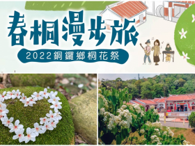 【2022苗栗油桐花】賞花時間/活動/導覽行程一次看!銅鑼花季登場!