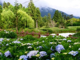 【2022武陵農場優惠】電子門票/訂房住宿/客運/花季攻略