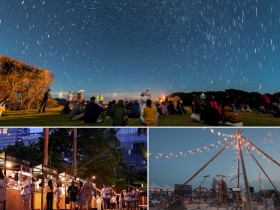 【2022年七夕情人節】浪漫藍眼淚/煙火/音樂晚會/夜間觀星等活動一次看!