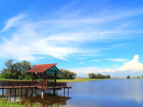 【慢遊雲林5百五告讚】發票登錄抽特斯拉/住宿折500/遊程及團旅補助5大振興方案一次看