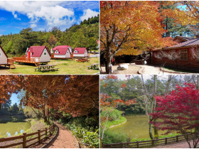 【2022福壽山農場】楓葉季登場!賞楓景點/楓紅時間/住宿資訊一次看