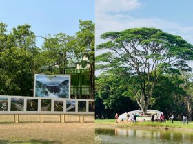 【2022台南Mattauw大地藝術季】時間地點/展出作品/地圖/接駁車及交通資訊