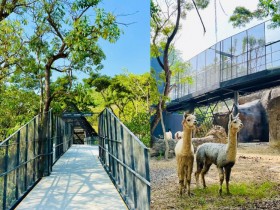 【高雄壽山動物園】2022開放時間/線上預約購票/門票優惠及交通資訊