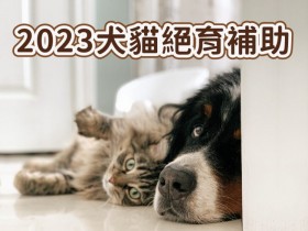 【2023犬貓結紮補助】免費絕育/寵物登記/狂犬病疫苗申請整理(112年)