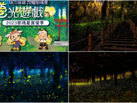 【2023那瑪夏螢火蟲季】時間/套裝行程/門票/步道/住宿/交通整理,高雄賞螢推薦!