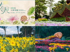 【2023士林官邸菊花展】花展日期/展區介紹/賞花活動/門票/交通整理