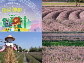 【2023桃園仙草嘉年華】仙草花節時間/展區/活動地圖/接駁車/交通整理