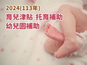 【2024育兒津貼/托育/幼兒園補助】線上申請/資格/金額整理(113)
