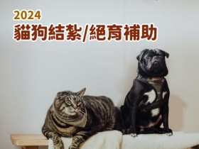 【2024貓狗結紮補助】免費動物絕育/寵物登記/狂犬病疫苗申請優惠(113年)