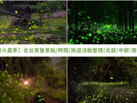 【2024螢火蟲季】全台賞螢景點/時間/旅遊活動整理(北部/中部/南部/東部)