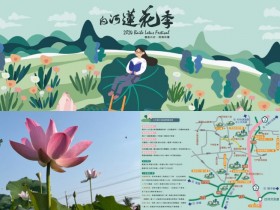 【2024台南白河蓮花季】時間/花況/賞蓮路線/大王蓮/一日遊/交通一次看!