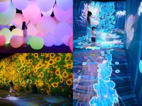 【2024台灣teamLab】時間地點/門票價格/購票售票/交通,台北科教館登場!