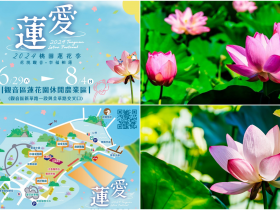 【2024桃園蓮花季】時間地點/景點地圖/遊程體驗/活動/交通/接駁車整理
