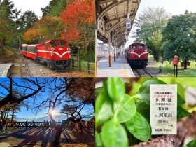 【嘉義阿里山小火車】2025訂票/路線/車票價格/時刻表/車廂座位一次看!