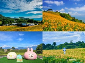 【2024花蓮金針花季】赤科山和六十石山花況/開花時間/交通一次看!