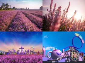 【2024桃園仙草嘉年華】仙草花節時間地點/展區/地圖/交通,楊梅登場!