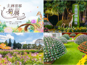 【2024士林官邸菊花展】花展日期/開放時間/展區介紹/賞花活動/門票整理