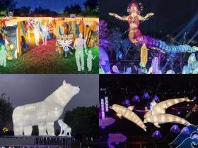 【2025台中燈會】時間地點/主燈秀/中央公園地圖/提燈/交通資訊一次看!