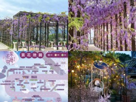 【2025嘉義瑞里紫藤花季】花況/賞花時間/景點/餐廳住宿/交通整理