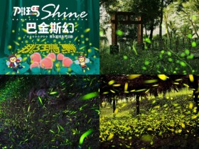 【2025那瑪夏螢火蟲季】高雄賞螢時間/門票/套裝行程/住宿/交通一次看!