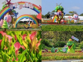 【2025桃園彩色海芋季】時間/門票/接駁車/停車,溪海農業區免費賞花!