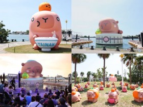 【台南卡比胖拉水豚】時間地點/燈光秀/安平活動/交通一次看!