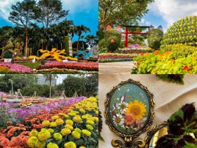 【2025士林官邸菊花展】展出日期/門票/店家優惠活動/交通,免費賞花!