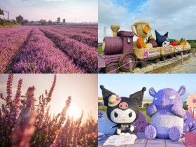 【2025桃園仙草嘉年華】仙草節時間/展區活動/地圖/接駁車/交通停車,楊梅免費賞花!