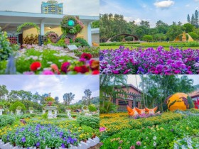 【2025士林官邸菊花展】展出日期/門票/店家優惠活動/交通,免費賞花!